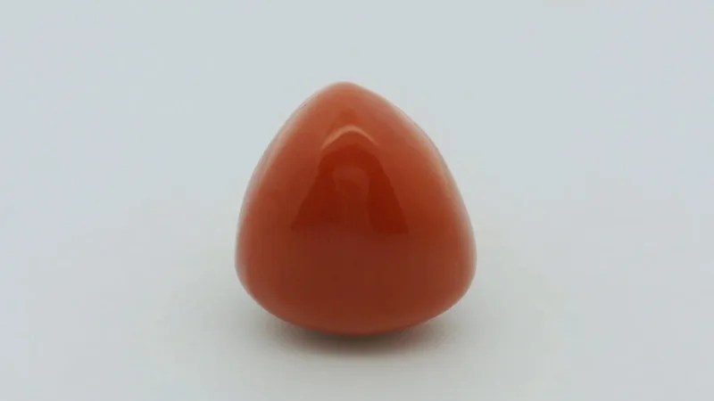 Natural Coral 15.45 cts