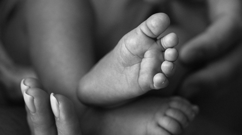 סיפורי לידה