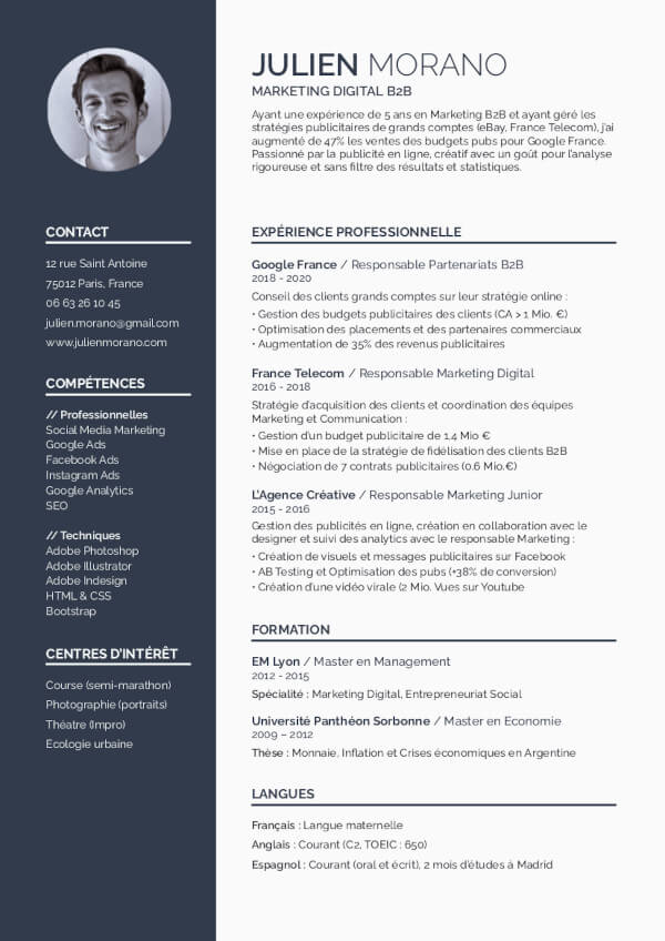 Download Free French Cv Template