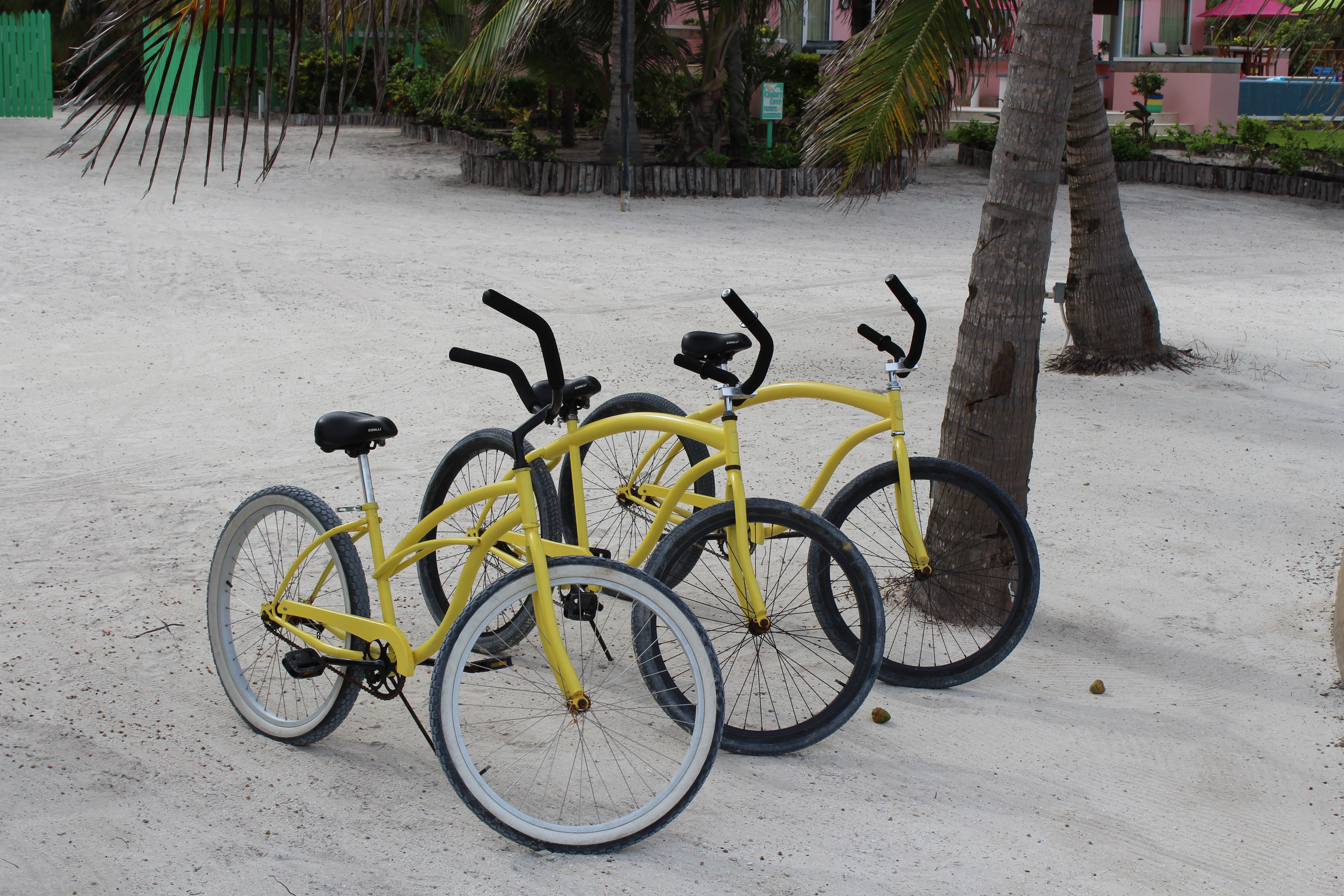 Bikes ready for guests at Canary Cove