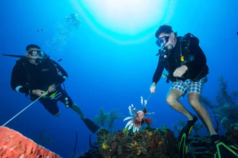 Lionfish catch on the boat