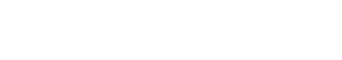 ZWSOFT Logo