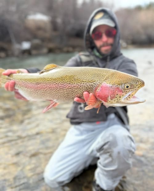 Reel In Colorado: Fly Fishing Retreat
