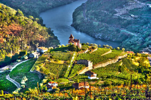 Colours of Porto: Wine, Culture & Coastal Beauty in Portugal