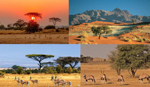 African Hunt Trip