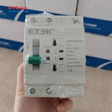 Bộ chuyển mạch 2 nguồn thủ công 63A 2P, Hiệu Etek
