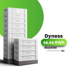 DYNESS 66,56 KWH