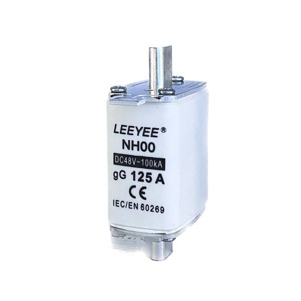 Battery Fuse  NH DIN Blade 100A