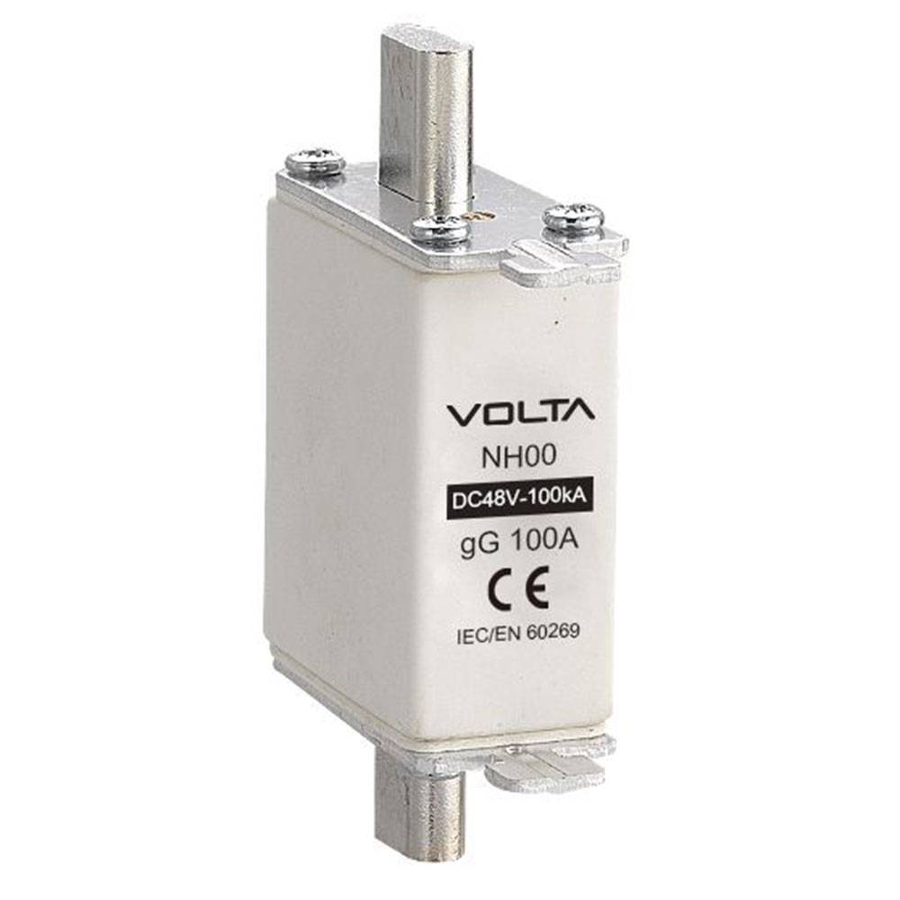 Battery Fuse 100A  Blade