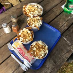 photo de poutine utilisateur