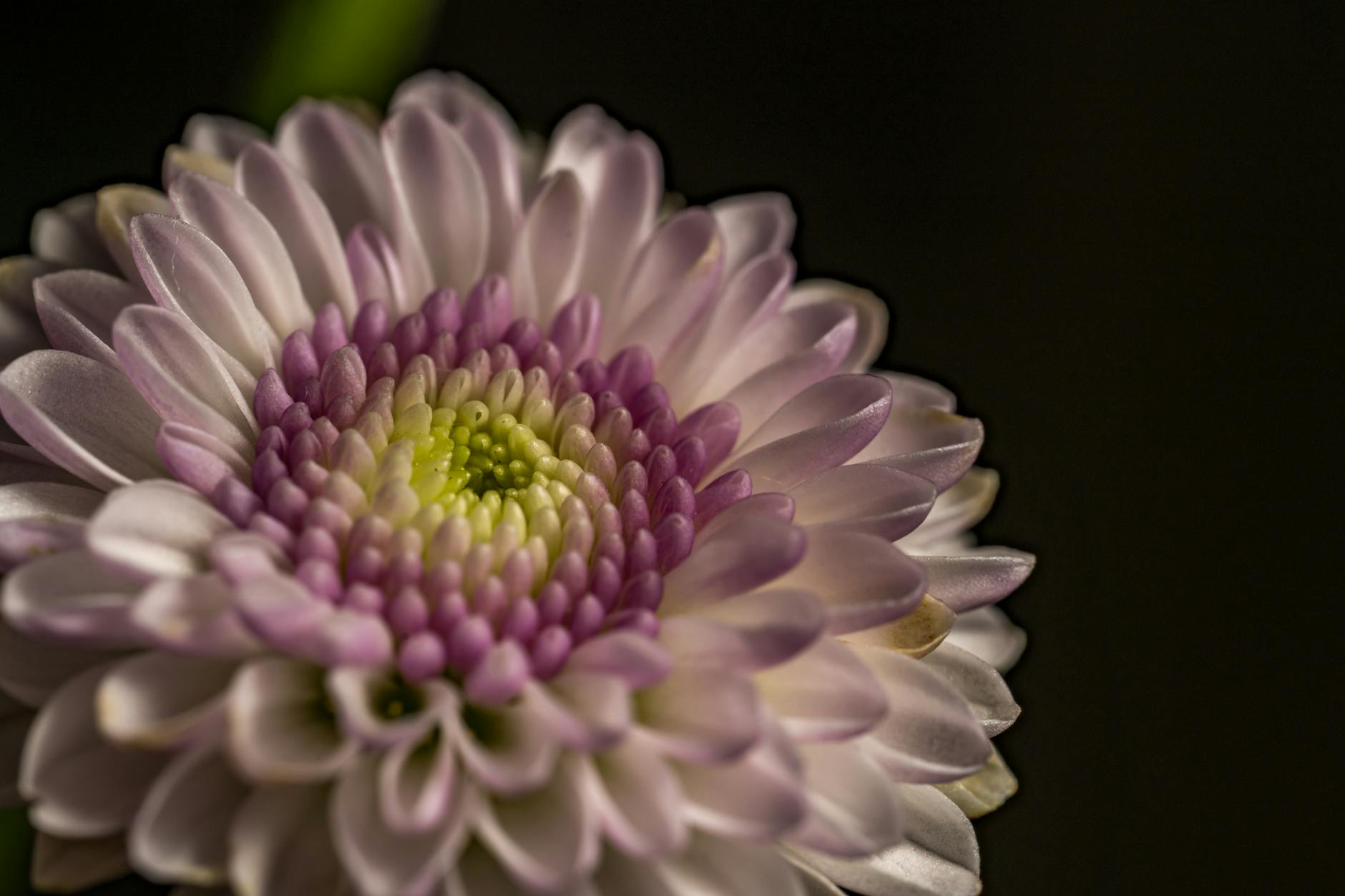 Países mais fáceis para conseguir visto em 2025