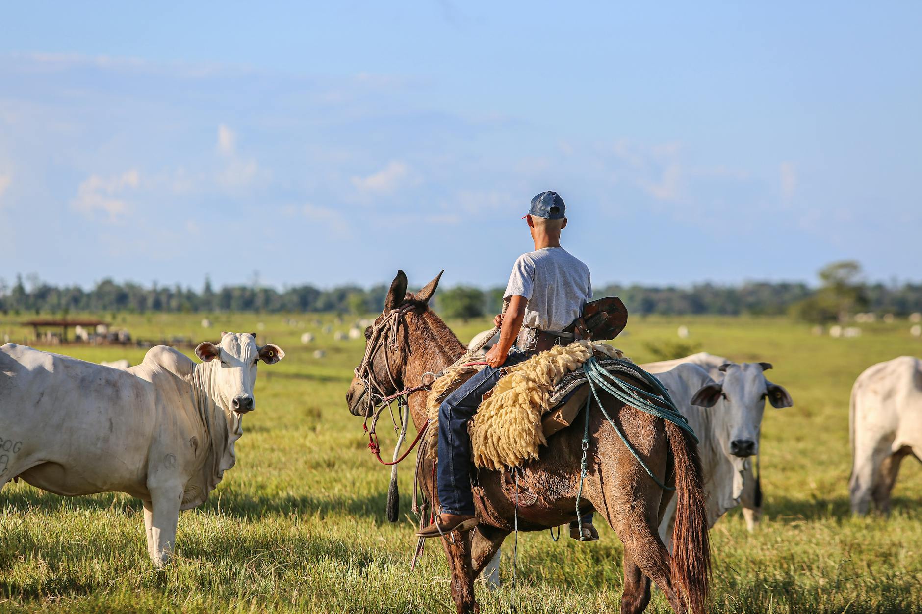 Como montar um dossiê de documentos para o visto