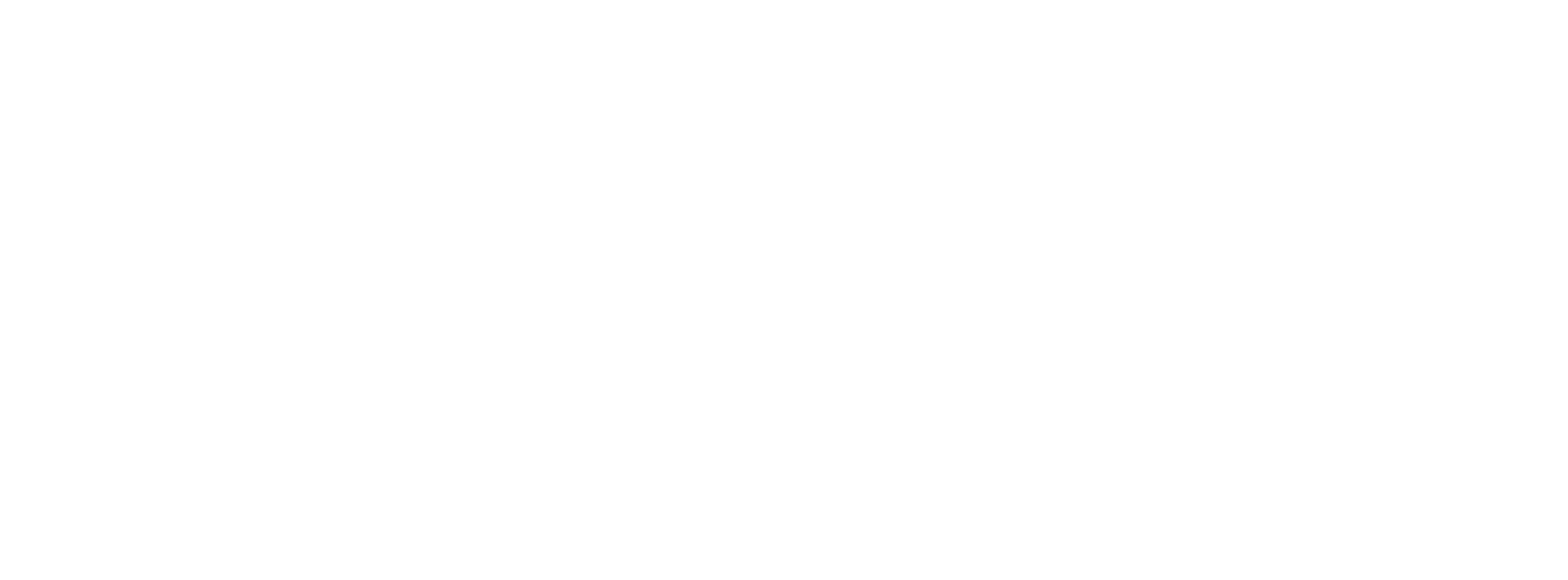 Vistos Guru