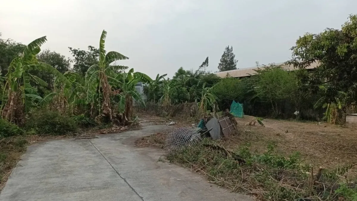 ที่ดินเปล่า - รูปภาพที่ 1