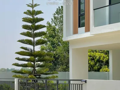 รูปย่อที่ 2