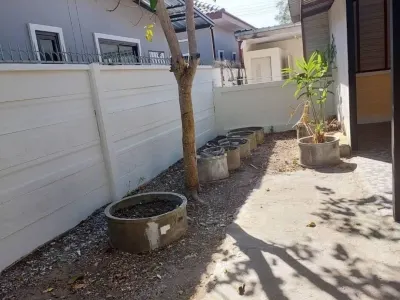 รูปย่อที่ 11