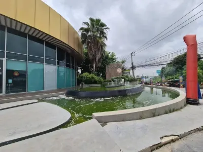 รูปย่อที่ 5