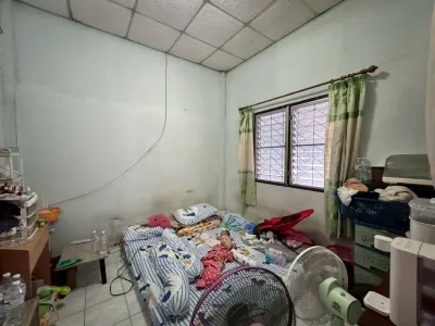 รูปย่อที่ 12