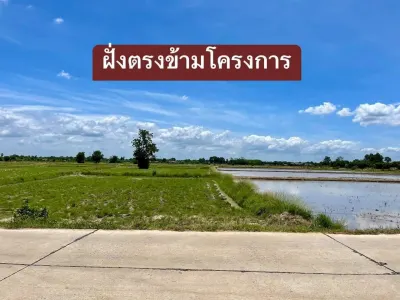 รูปย่อที่ 11