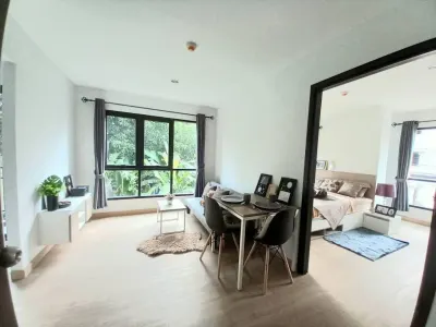 รูปย่อที่ 12