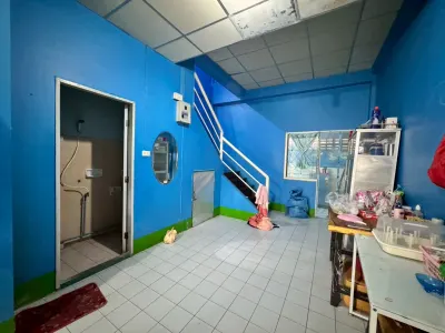 รูปย่อที่ 7