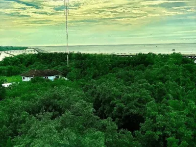 รูปย่อที่ 16