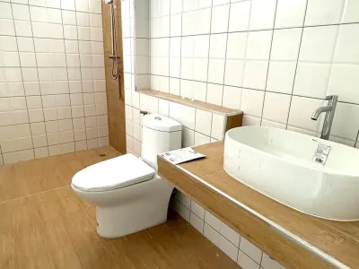 รูปย่อที่ 11