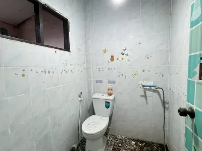 รูปย่อที่ 11