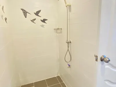 รูปย่อที่ 14