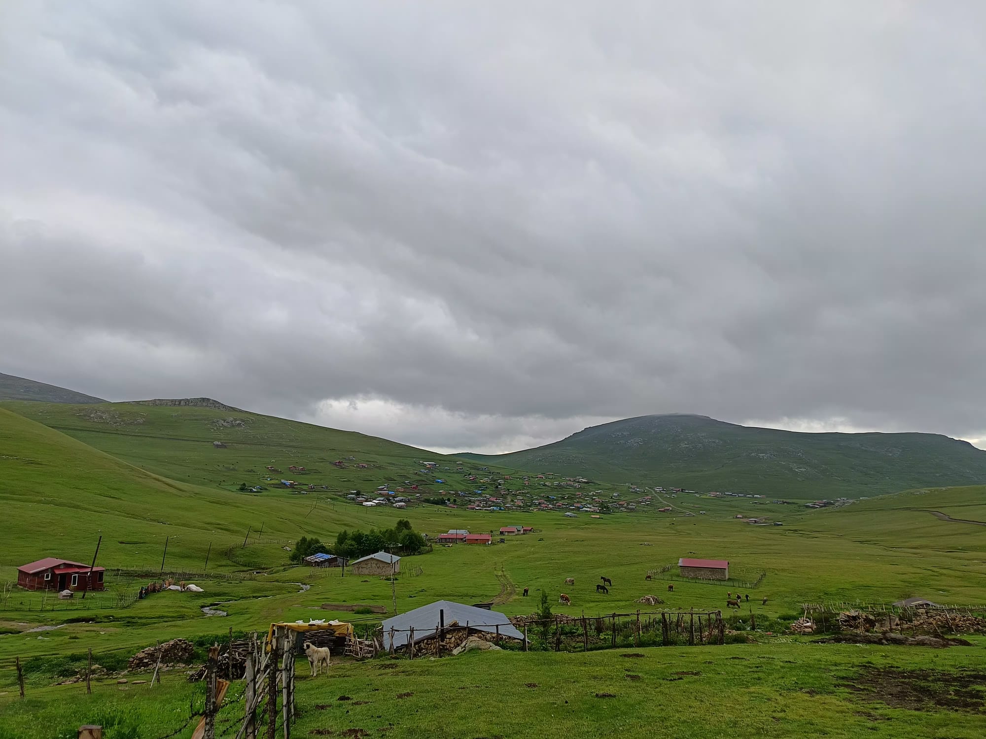 Yayla Fotoğrafları