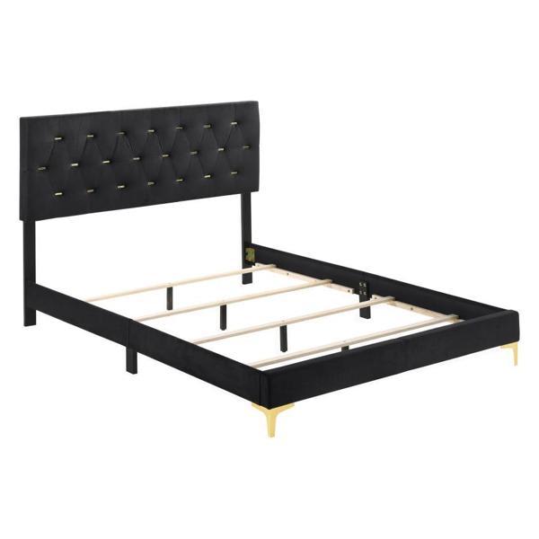 Kendall Upholstered California King Panel Bed - Black Velvet - Gold Accents 