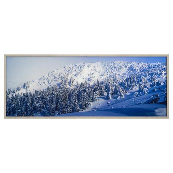 Alpine Landscape 