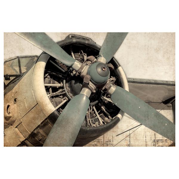 Iron Bird 