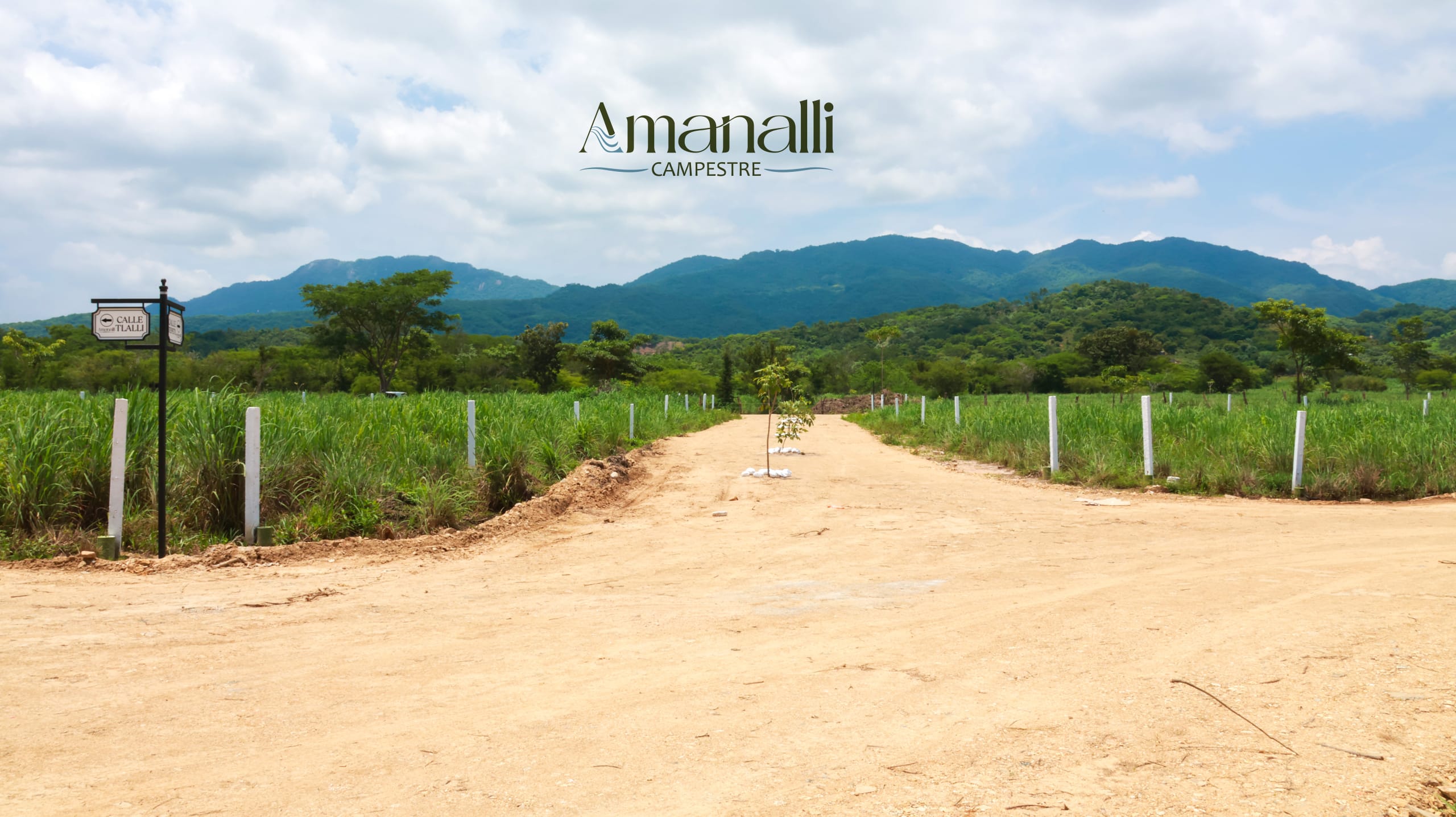 Amanalli Campestre