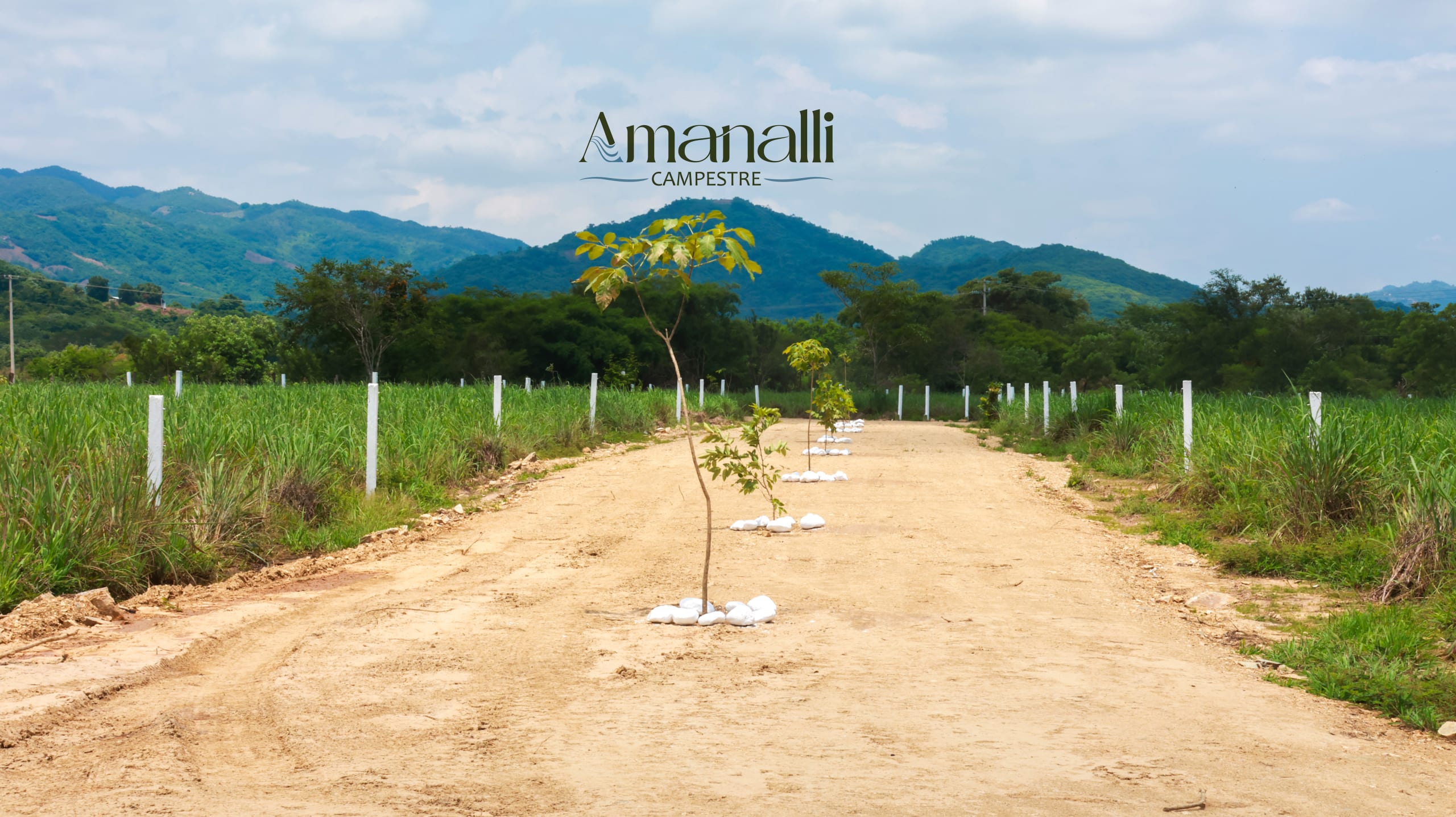 Amanalli Campestre