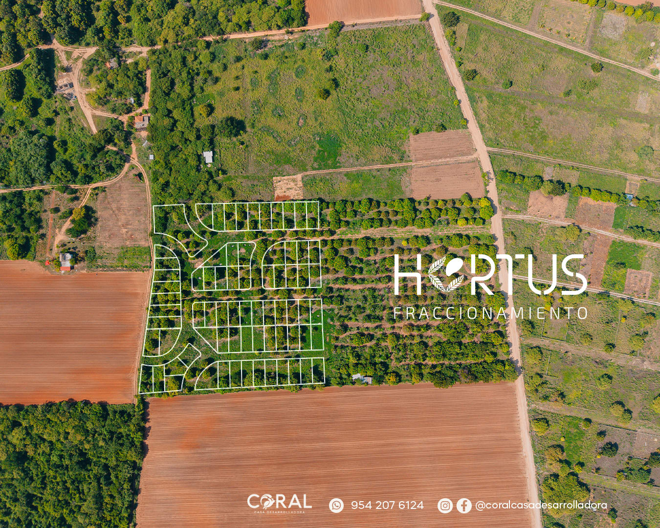 Hortus