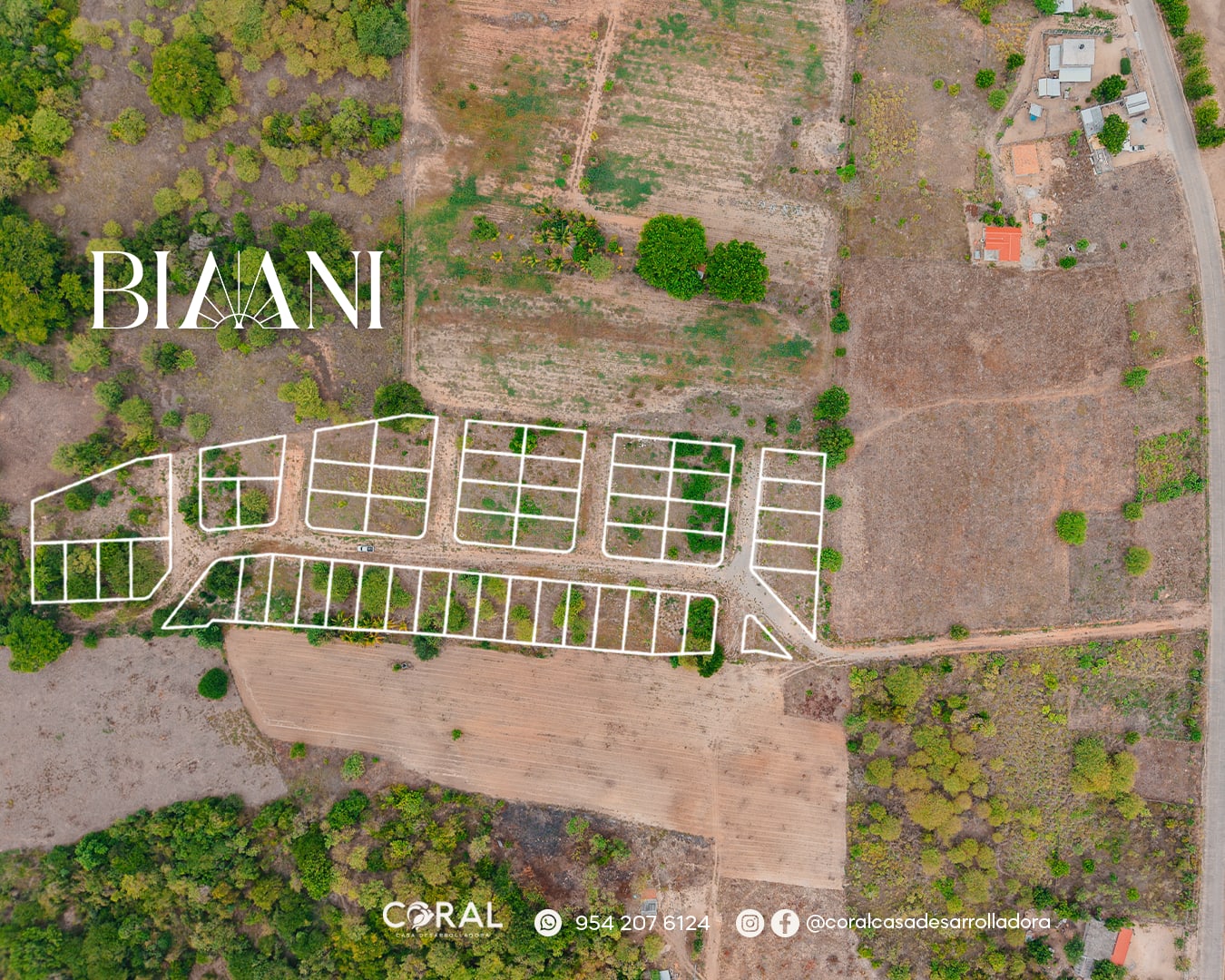 Biaani