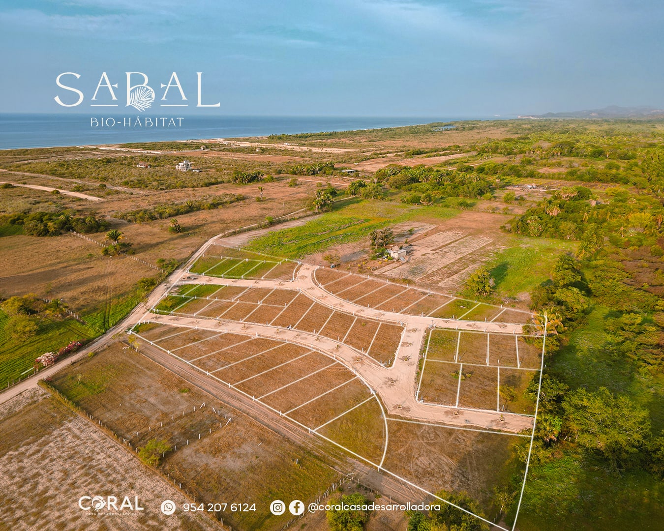 Sabal Bio-habitat