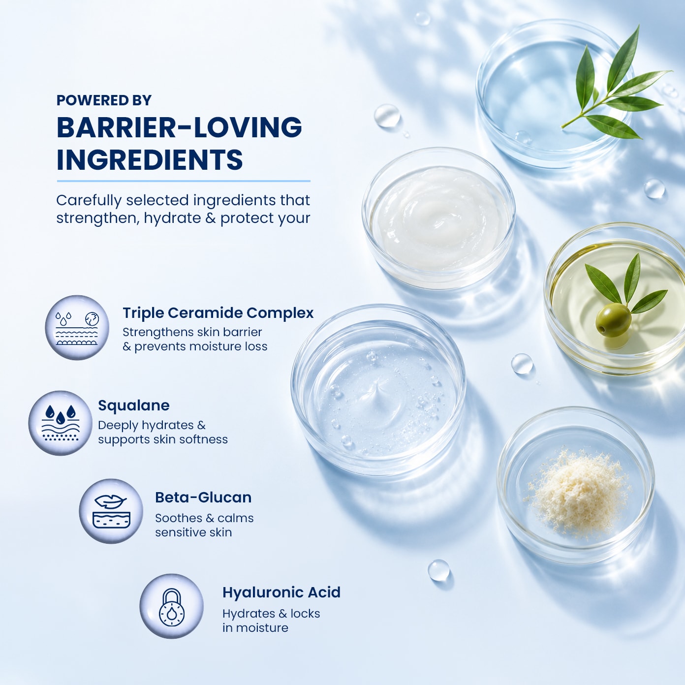 Illustration of skincare ingredients including Triple Ceramide Complex, Squalane, Beta-Glucan, and Hyaluronic Acid used to strengthen the skin barrier and provide long-lasting hydration.