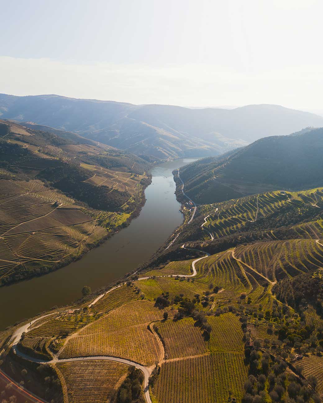 Exploring Portugal's Wine Regions: A Connoisseur's Guide
