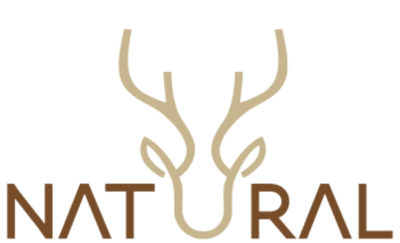 10% הנחה על כל האתר