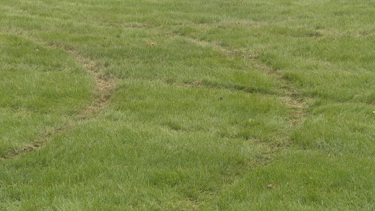 Vandals Damage West Seneca Soccer Fields, Forcing Game Cancellations