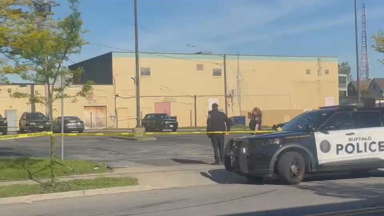 Buffalo Police Investigate Stabbing Incident on West Ferry