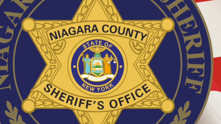 Authorities Remove 10 Cats from Niagara County Home