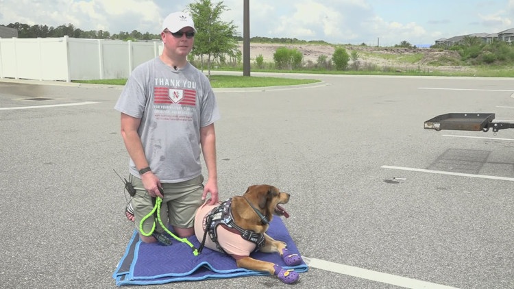 Navy Veteran Reunites with Missing Service Dog in Jacksonville