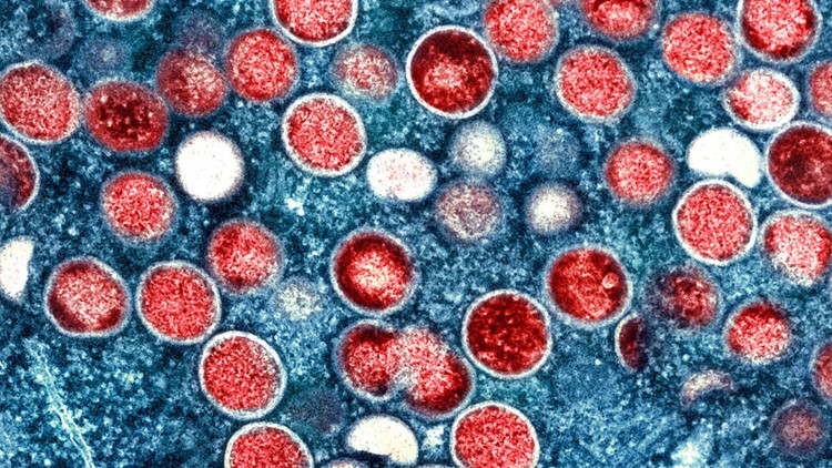 NIH Researchers Charged with Smuggling Virus into the US
