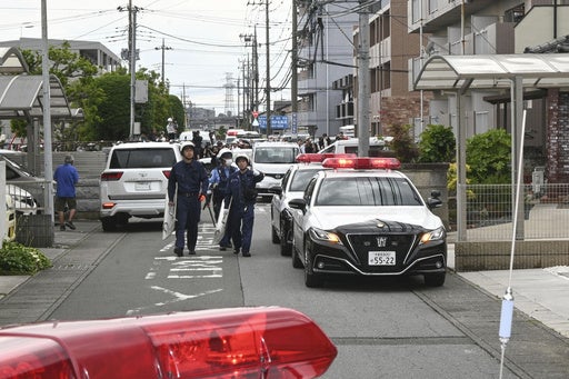 Japanese City Captures Wandering Bear, No Direct Impact on Rochester