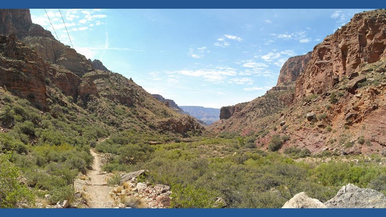 Tragedy Strikes at Grand Canyon National Park, Buffalo Residents Cautioned