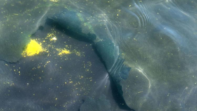 Olympic Cyclist Arrested for Vandalism at Reflecting Pool in Nation's Capital