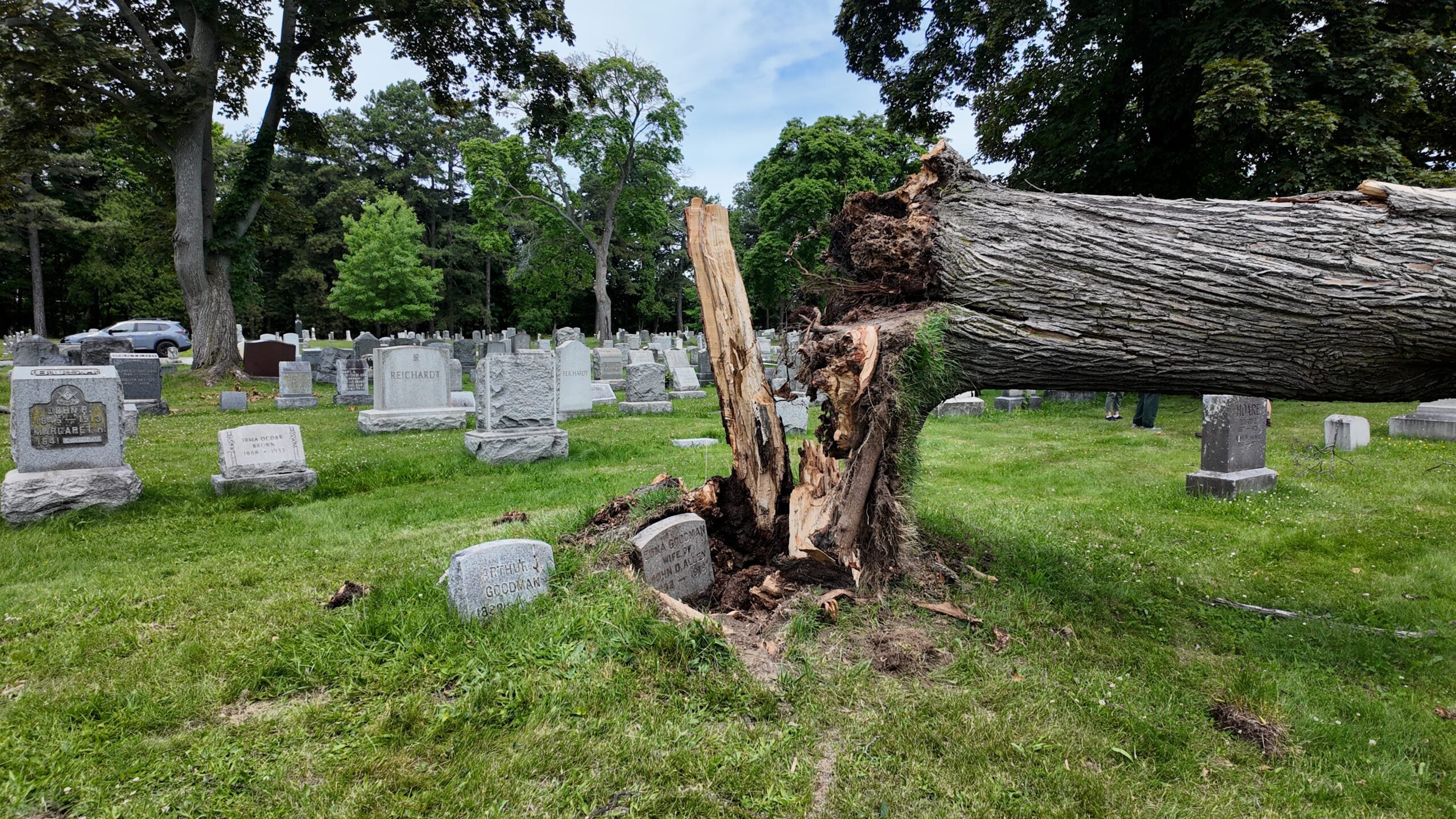 Storm Reveals Hidden Headstone at Mount Hope Cemetery